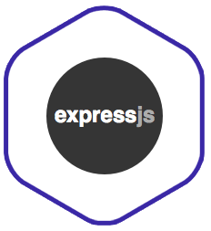 Using Express validator  🤔