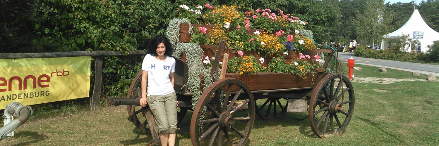 Climbing Park near Berlin